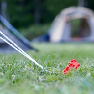 村の鍛冶屋 エリッゼステーク 28cm 6本セット